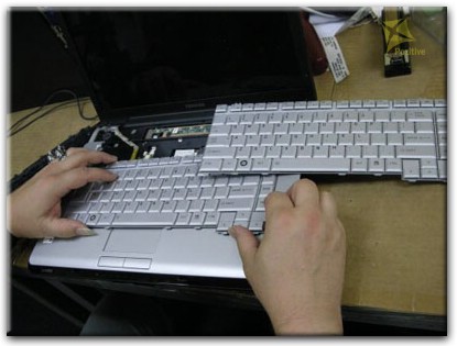 Ремонт клавиатуры на ноутбуке Toshiba в Симферополе